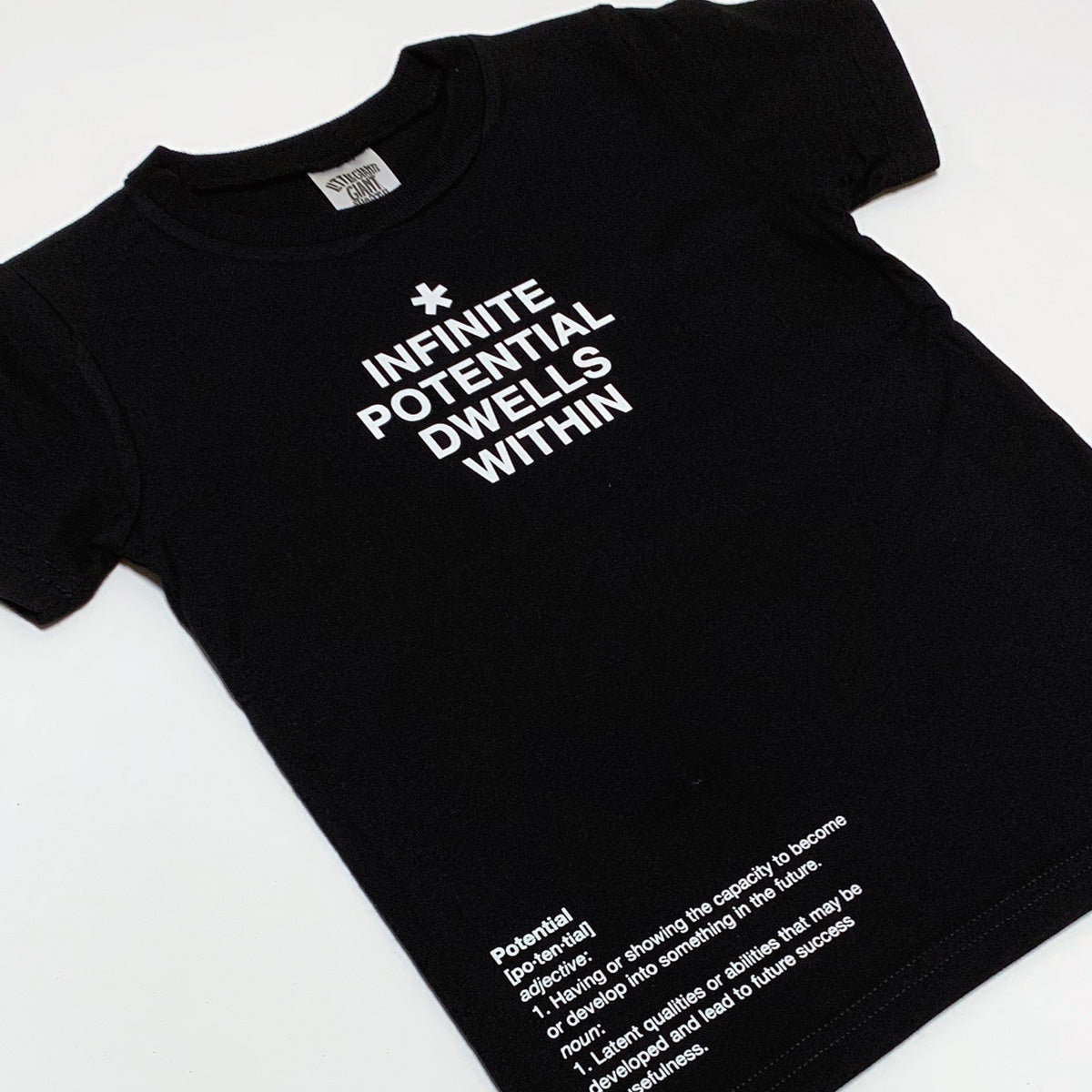 Infinite Potential T-Shirt (Black)