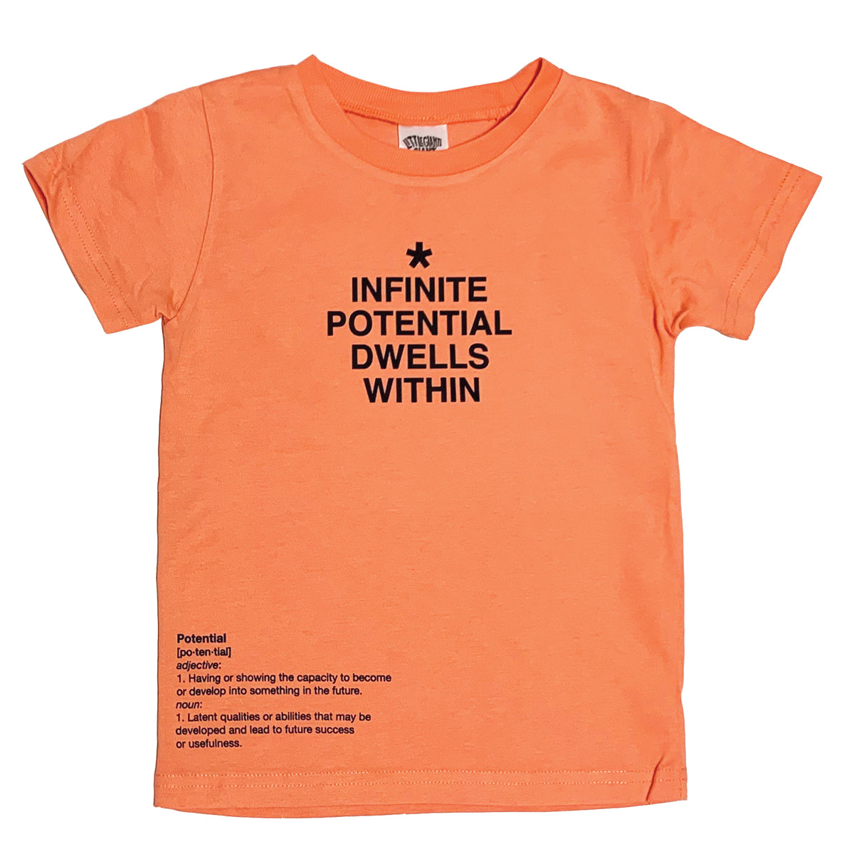 Infinite Potential T-Shirt (Coral)