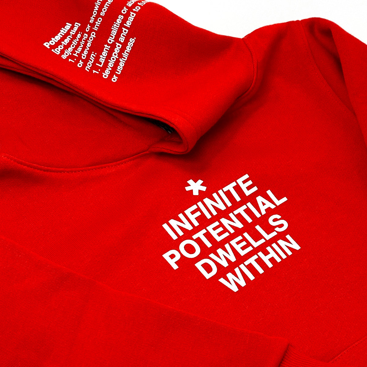 Infinite Potential Hoodie (Red)